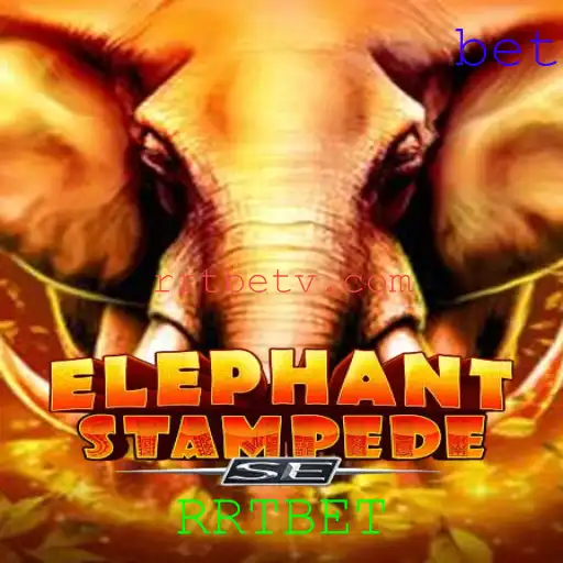 Descubra ElephantStampedeSE: A Nova Sensação no Mundo dos Jogos
